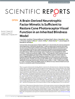 A Brain-Derived Neurotrophic Factor