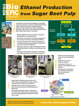 Sugar Beet Pulp