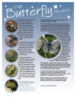 The Butterfly Project at America’S the Palos Verdes Blue Butterfly Was Listed As an Butterflyteaching Zoo Provides a Endangered Species in 1980