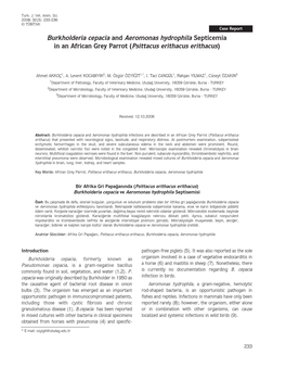 Burkholderia Cepacia and Aeromonas Hydrophila Septicemia in an African Grey Parrot (Psittacus Erithacus Erithacus)