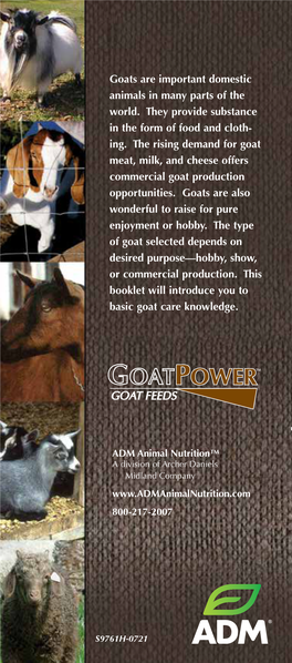 Goats Are Important Domestic Animals in Many Parts of the World. They Provide Substance in the Form of Food and Cloth- Ing