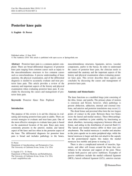 Posterior Knee Pain