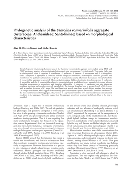 Phylogenetic Analysis of the Santolina Rosmarinifolia Aggregate (Asteraceae: Anthemideae: Santolininae) Based on Morphological Characteristics