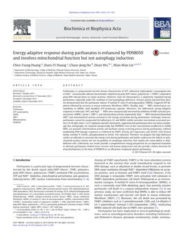 Energy Adaptive Response During Parthanatos Is Enhanced by PD98059 and Involves Mitochondrial Function but Not Autophagy Induction