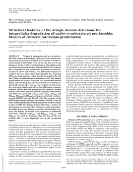 Structural Features of the Kringle Domain Determine the Intracellular Degradation of Under-␥-Carboxylated Prothrombin: Studies of Chimeric Rat͞human Prothrombin