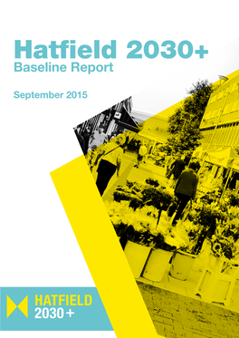 Hatfield 2030+ Baseline Report