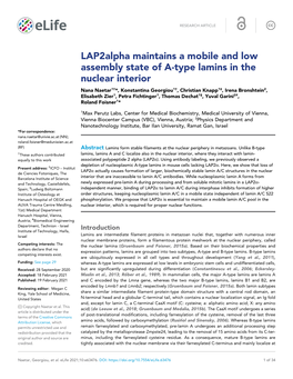 Lap2alpha Maintains a Mobile and Low Assembly State of A-Type Lamins