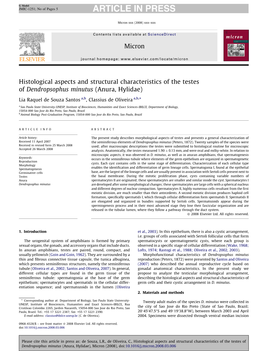 Histological Aspects and Structural Characteristics of the Testes of Dendropsophus Minutus (Anura, Hylidae)