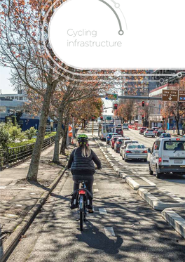 Cycling Infrastructure in This Chapter