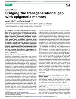 Bridging the Transgenerational Gap with Epigenetic Memory