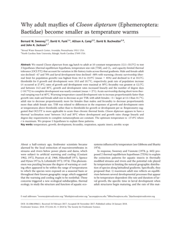 Why Adult Mayflies of Cloeon Dipterum (Ephemeroptera: Baetidae)