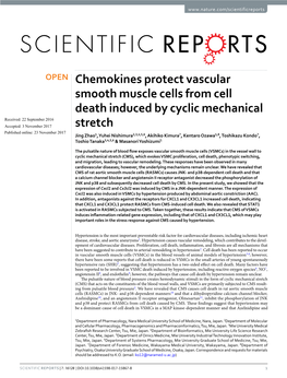 Chemokines Protect Vascular Smooth Muscle Cells from Cell Death