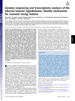 Genome Sequencing and Transcriptome Analyses of the Siberian Hamster Hypothalamus Identify Mechanisms for Seasonal Energy Balance