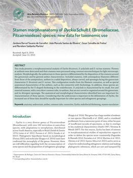 Stamen Morphoanatomy of Dyckia Schult.F. (Bromeliaceae, Pitcairnioideae) Species: New Data for Taxonomic Use