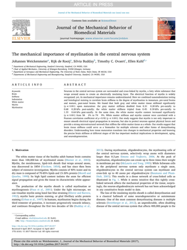 The Mechanical Importance of Myelination in the Central Nervous System ⁎ Johannes Weickenmeiera, Rijk De Rooija, Silvia Buddayb, Timothy C