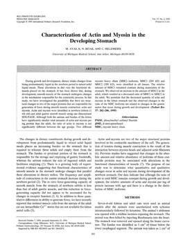 Characterization of Actin and Myosin in the Developing Stomach