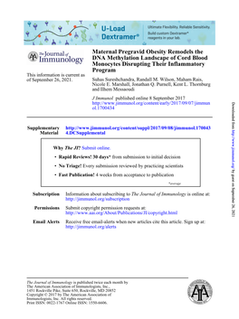 Maternal Pregravid Obesity Remodels the DNA Methylation Landscape Of