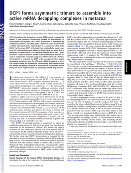 DCP1 Forms Asymmetric Trimers to Assemble Into Active Mrna Decapping Complexes in Metazoa