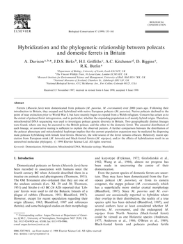 Hybridization and the Phylogenetic Relationship Between Polecats and Domestic Ferrets in Britain