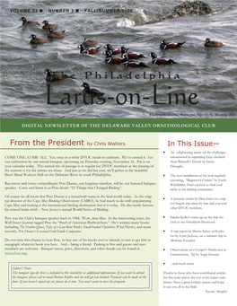 Larus-On-Line Harlequin Ducks, Barnegat, NJ—© N