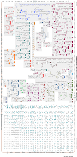 Generate Metabolic Map Poster