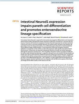 Intestinal Neurod1 Expression Impairs Paneth Cell Differentiation and Promotes Enteroendocrine Lineage Specification