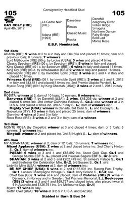 Consigned by Headfield Stud Danetime Danehill