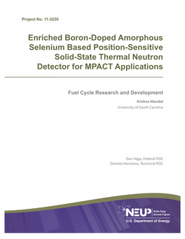 Solid State Thermal Neutron Detectors Based on Boron-Doped