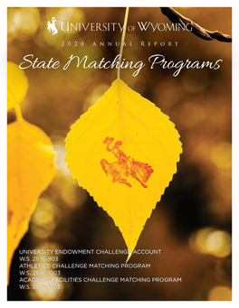 State Matching Programs