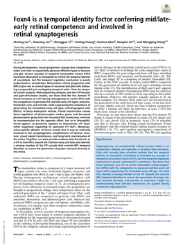 Foxn4 Is a Temporal Identity Factor Conferring Mid/Late-Early Retinal Competence and Involved in Retinal Synaptogenesis