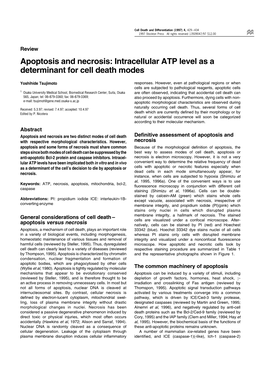 Apoptosis and Necrosis: Intracellular ATP Level As a Determinant for Cell Death Modes