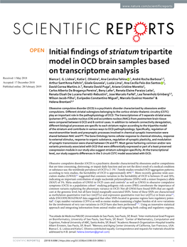 Initial Findings of Striatum Tripartite Model in OCD Brain Samples Based