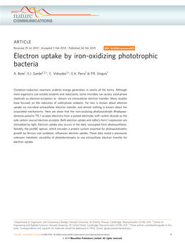 Electron Uptake by Iron-Oxidizing Phototrophic Bacteria