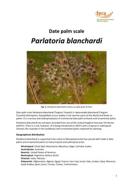 Parlatoria Blanchardi Datasheet V1 16062014