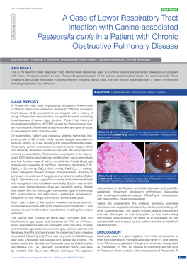 A Case of Lower Respiratory Tract Infection with Canine-Associated