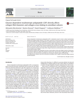 GIP) Directly Affects Collagen ﬁbril Diameter and Collagen Cross-Linking in Osteoblast Cultures