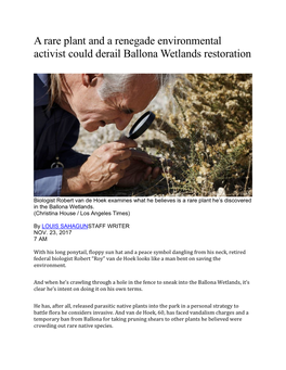 A Rare Plant and a Renegade Environmental Activist Could Derail Ballona Wetlands Restoration