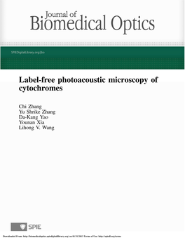 Label-Free Photoacoustic Microscopy of Cytochromes