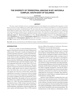 The Diversity of Terrestrial Araceae in Mt. Watuwila Complex, South-East of Sulawesi