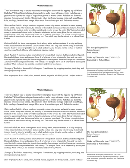 Radish Recipe Card