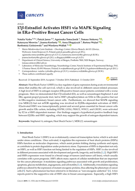 17-Estradiol Activates HSF1 Via MAPK Signaling in ER-Positive Breast