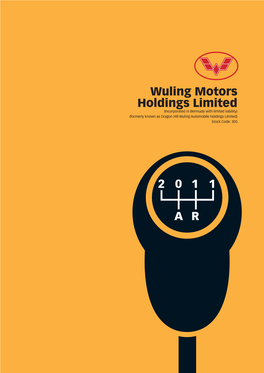 Wuling Motors Holdings Limited