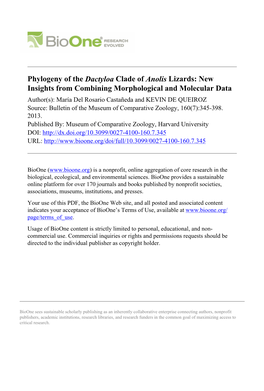 Phylogeny of the Dactyloa Clade of Anolis Lizards