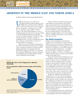 Abortion in the Middle East and North Africa