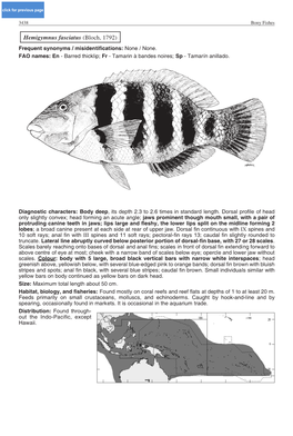 Hemigymnus Fasciatus (Bloch, 1792) Frequent Synonyms / Misidentifications: None / None