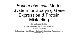 Escherichia Coli Model System for Studying Gene Expression & Protein Misfolding Dr