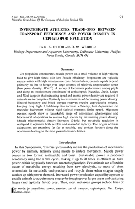 Trade-Offs Between Transport Efficiency and Power Density in Cephalopod Evolution