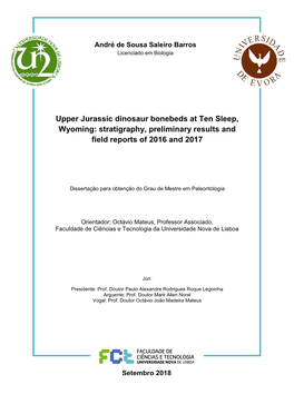 Upper Jurassic Dinosaur Bonebeds at Ten Sleep, Wyoming: Stratigraphy, Preliminary Results and Field Reports of 2016 and 2017