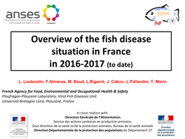 Rainbow Trout with Haemorrhage Bacteriology : Presence of Yersinia and Flavobacterium Sampling on Rainbow Trout and Analysis by an Accredited Laboratory