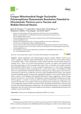 Unique Mitochondrial Single Nucleotide Polymorphisms Demonstrate Resolution Potential to Discriminate Theileria Parva Vaccine and Buﬀalo-Derived Strains